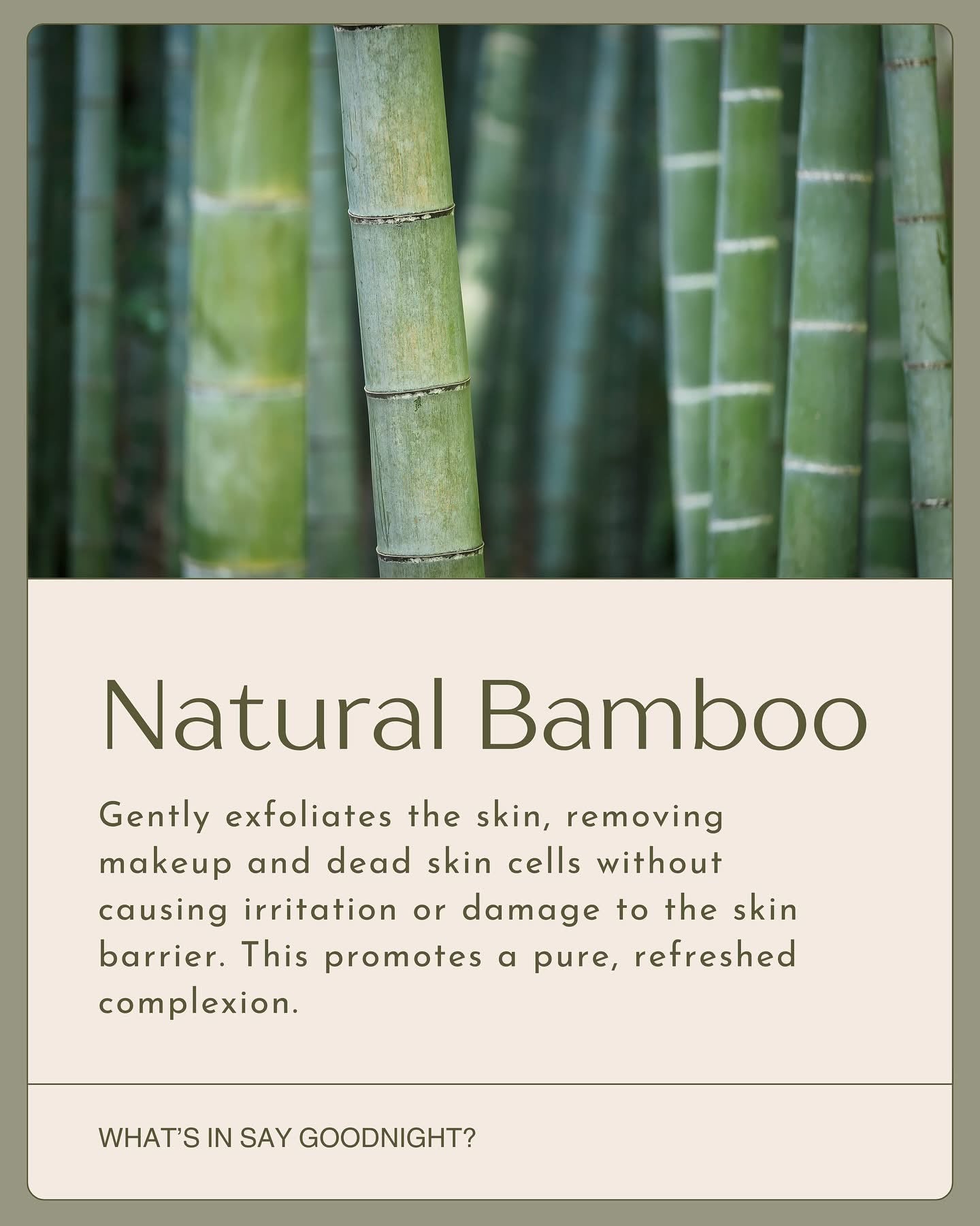 Say Goodnight Exfoliating Cleanser - GoodJanes