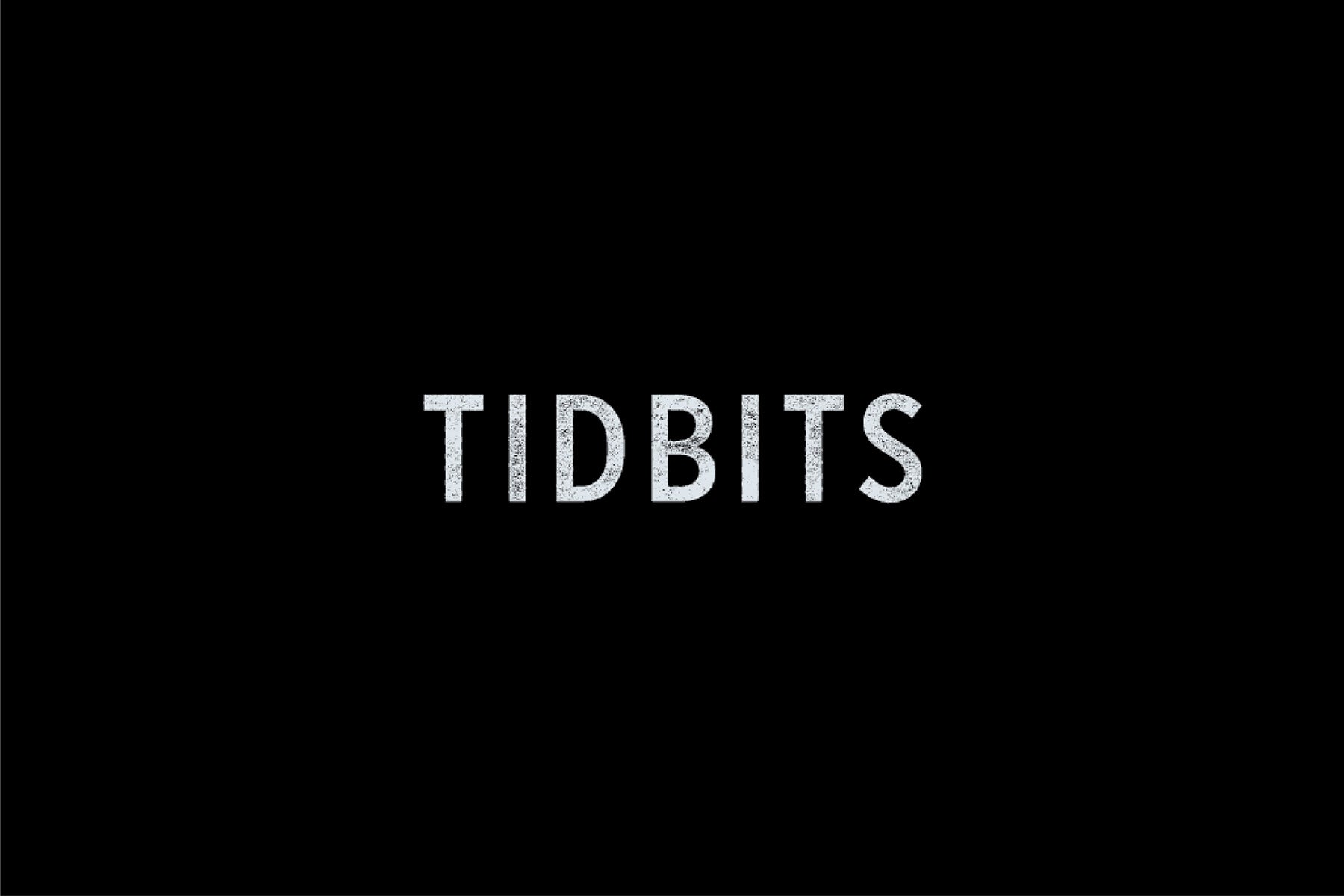 GOODJANES FEATURED IN HOLIDAY GIVEAWAY ON TIDBITS