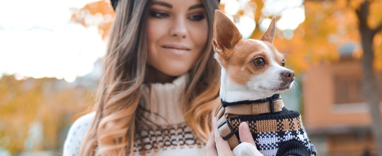 Tamara Bellis Fall Foods for Better Skin