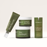 Evening Radiance Bundle